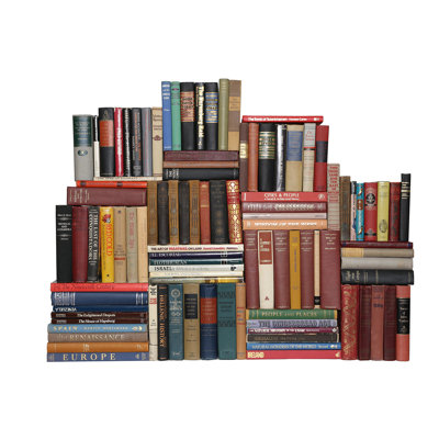100 Piece Curated Library Curated Vintage World History Library Authentic Decorative Book Set