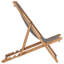Hayg Folding Beach Chair-1811743318