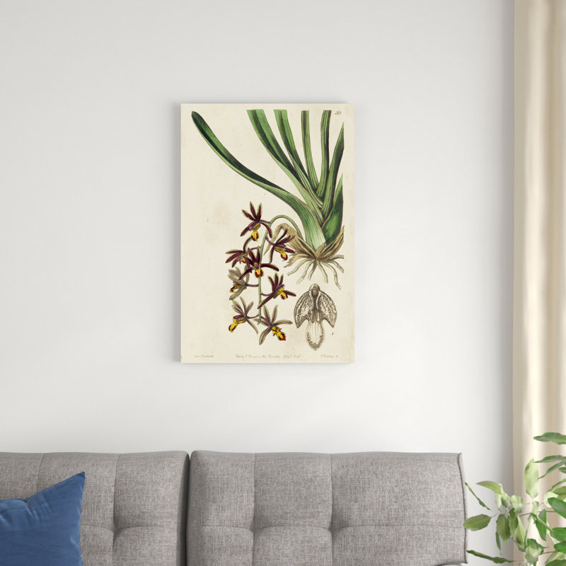 Orchidée de printemps V, H 30 po x l 20 po x P 1,25 po