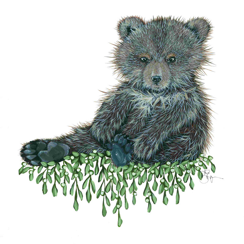 «Baby Bear», impression sur toile tendue, H 12 po x l 12 po