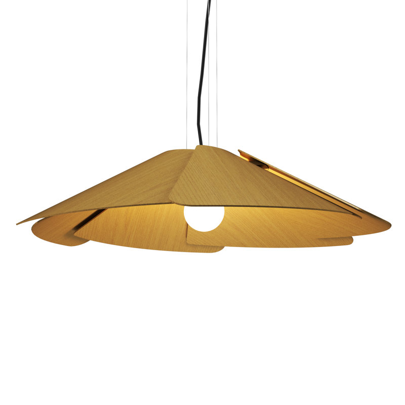 Fuchsia 1 - Light Pendant, Organic Gold