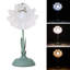 Iron USB Desk Lamp