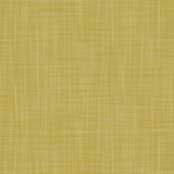 Lorenzo Castillo Volume V Vinyl Wallpaper Roll by Gaston Y Daniela