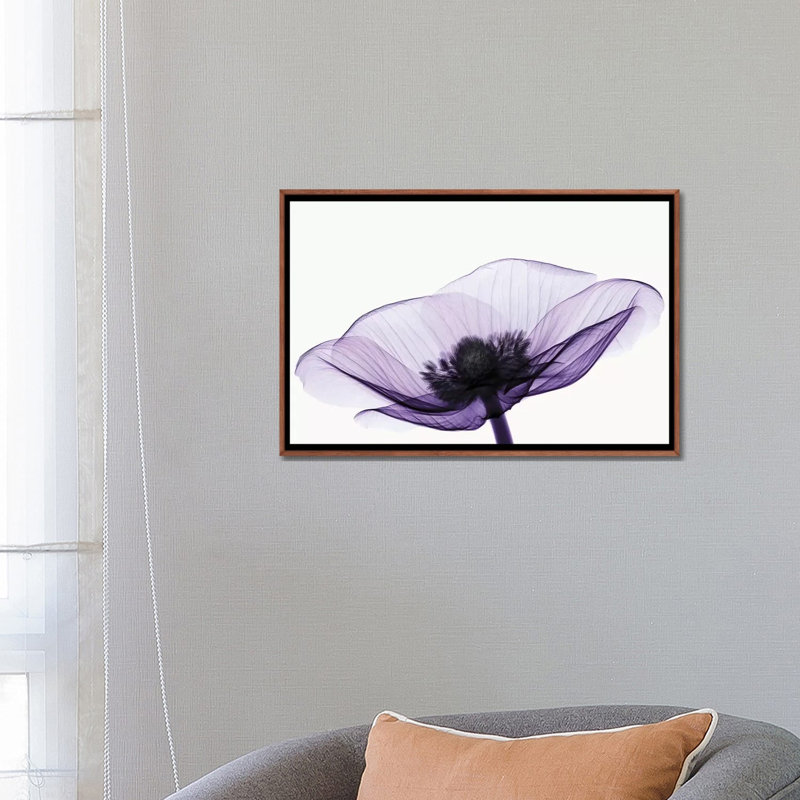 «Anemone II» par Robert Coop - reproduction de photo, H 18 po x l 26 po x P 1,5 po, Toile avec cadre en bois classique