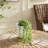 26'' Faux Succulent Plant in Planter