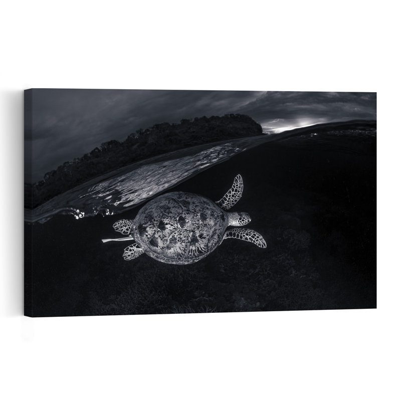 Dark Ocean Turtle Dramatic Peaceful Serene Turtle Coastal Nature Wall Art Print 1 Piece Wrapped Canvas Wall Art