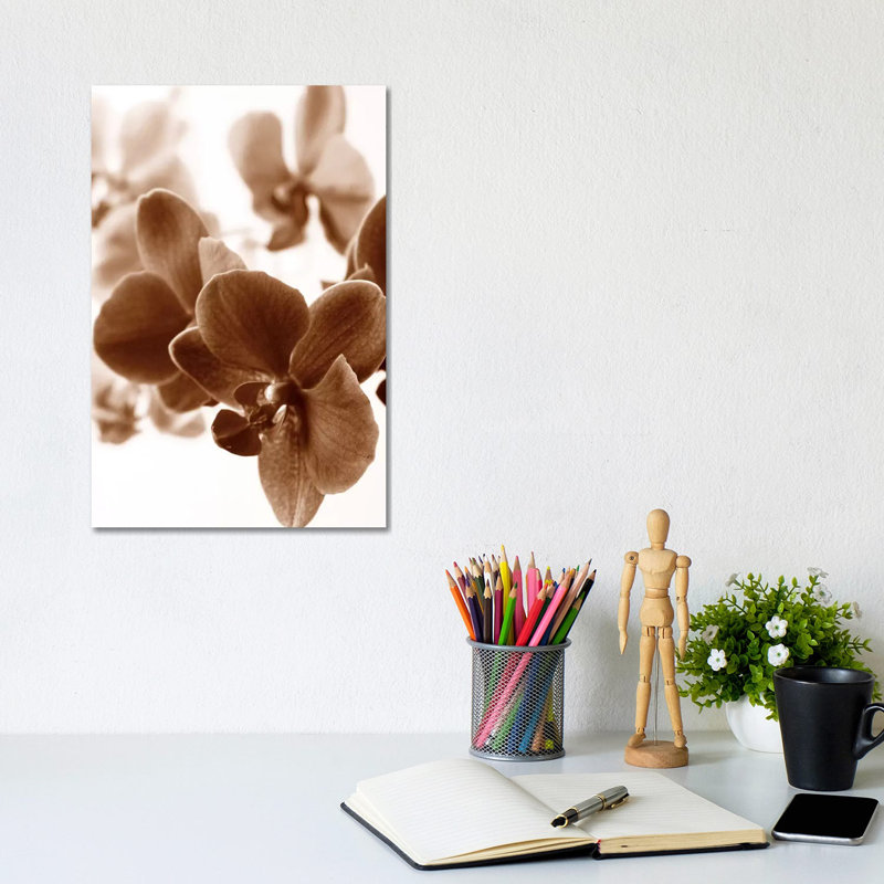 Dreamy Orchids II by Ily Szilagyi - Wrapped Canvas Print, 20.32 cm H x 30.48 cm W