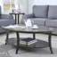 Table basse contemporaine contemporaine ovale en gris - moderne avec placage en bois de bouleau et espace de rangement supplémentaire-971052403