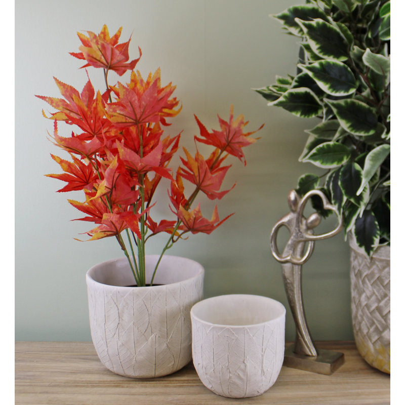 Brandonville Pot Planter