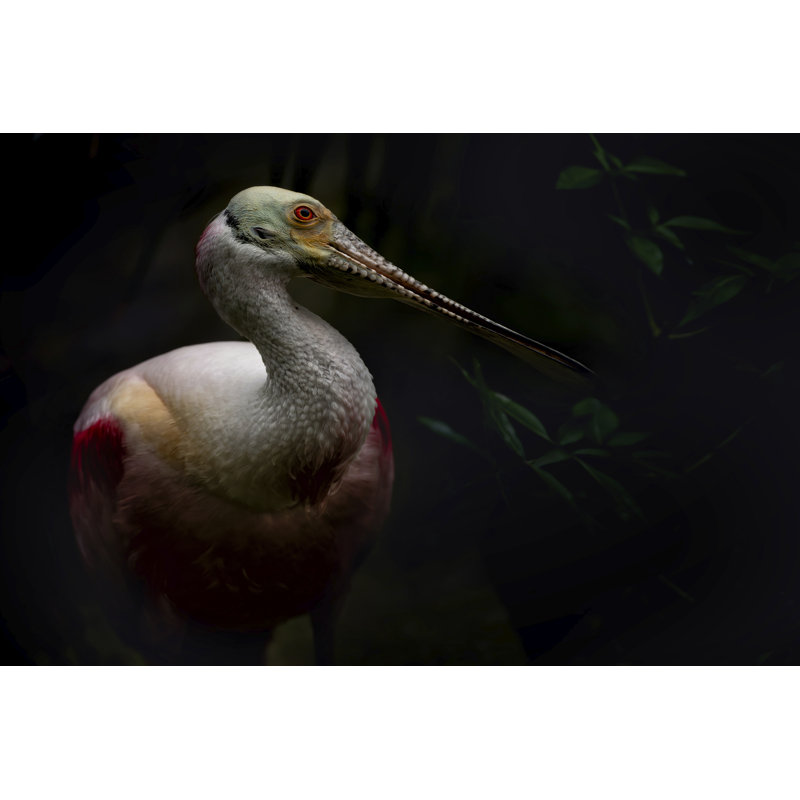Prehistoric by PHBurchett - Wrapped Canvas Photograph, 30 cm H x 46 cm W