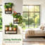 Plant Stand - Set of 3