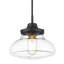 Luminaire suspendu simple à 1 lumière Dauphine