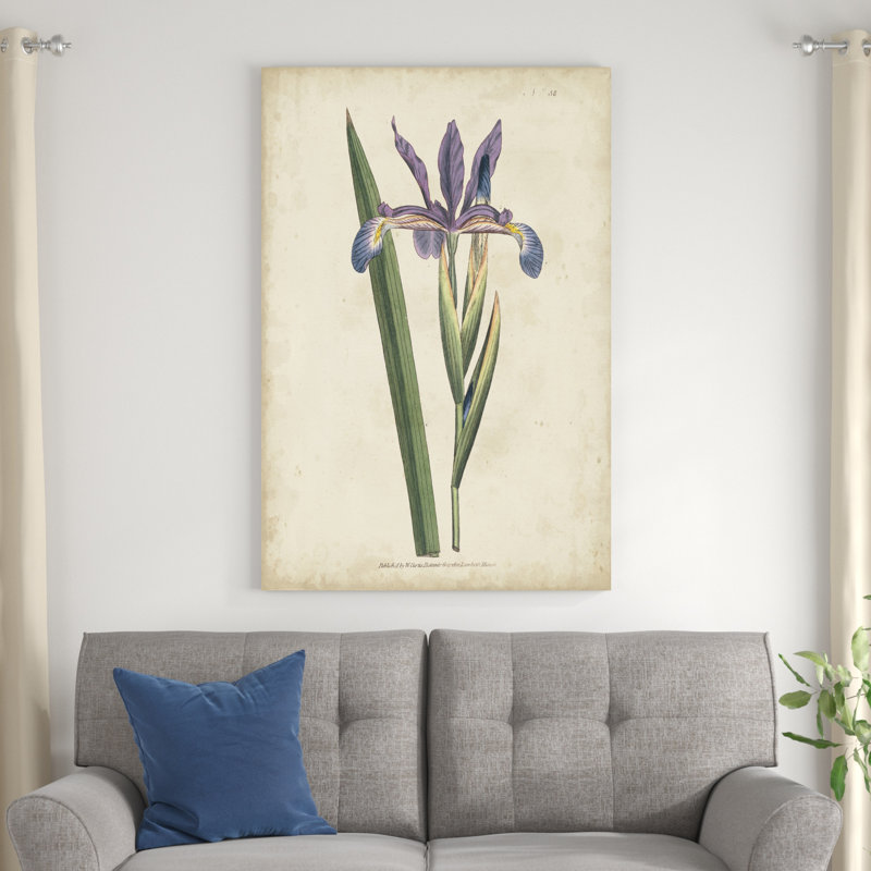 Lavender Curtis Botanicals III - Painting Print, 30cm H x 20cm W, Wrapped Canvas