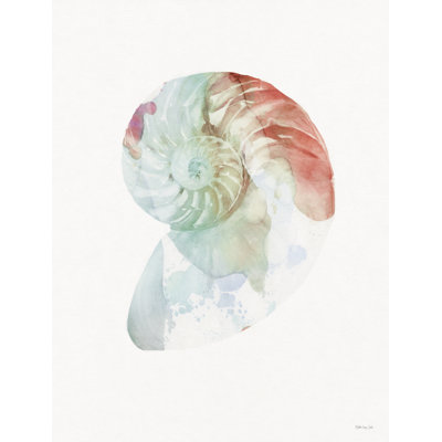 Subtil Nautilus - reproduction sur toile tendue
