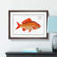 Goldfish by M.E. Bloch - Framed Print-55735535-55735538