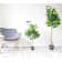 Sand & Stable Faux Fiddle Leaf Fig Tree in Pot & Reviews | Wayfair