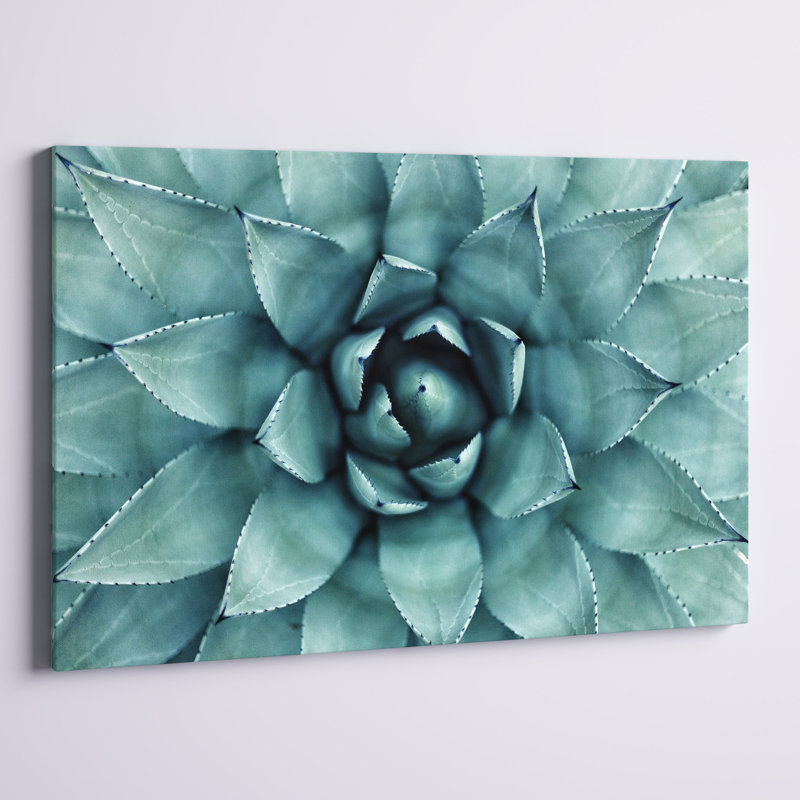 " Turquoise Succulent ", 32" H x 48" W x 1" D 