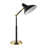 Motilal Metal USB Desk Lamp