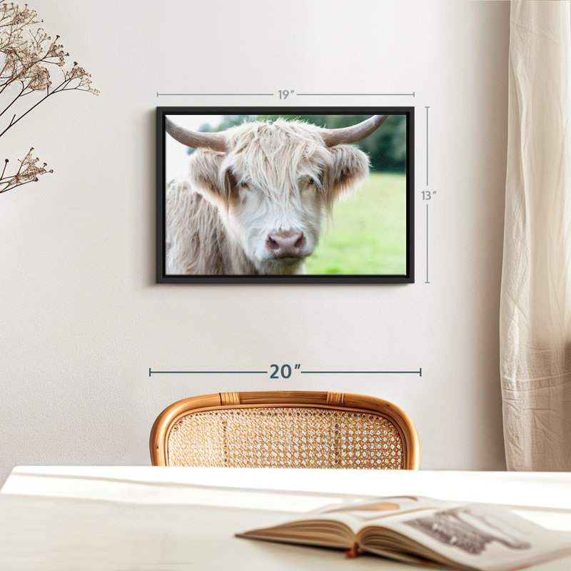 Animal "Vache Highland", H 19 po x l 13 po