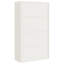 Naohito 2 -Door 4 -Shelf Storage Cabinet-1726716981