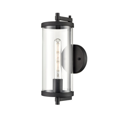 Kaytlin 1 Light Outdoor Wall Sconce