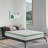 Novilla 12'' Medium Hybrid Mattress-388731772