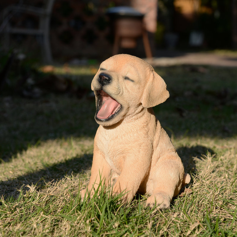 Yawning Labrador (exclusivité Hi-Line)
