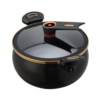 Living And Home Stock Pot