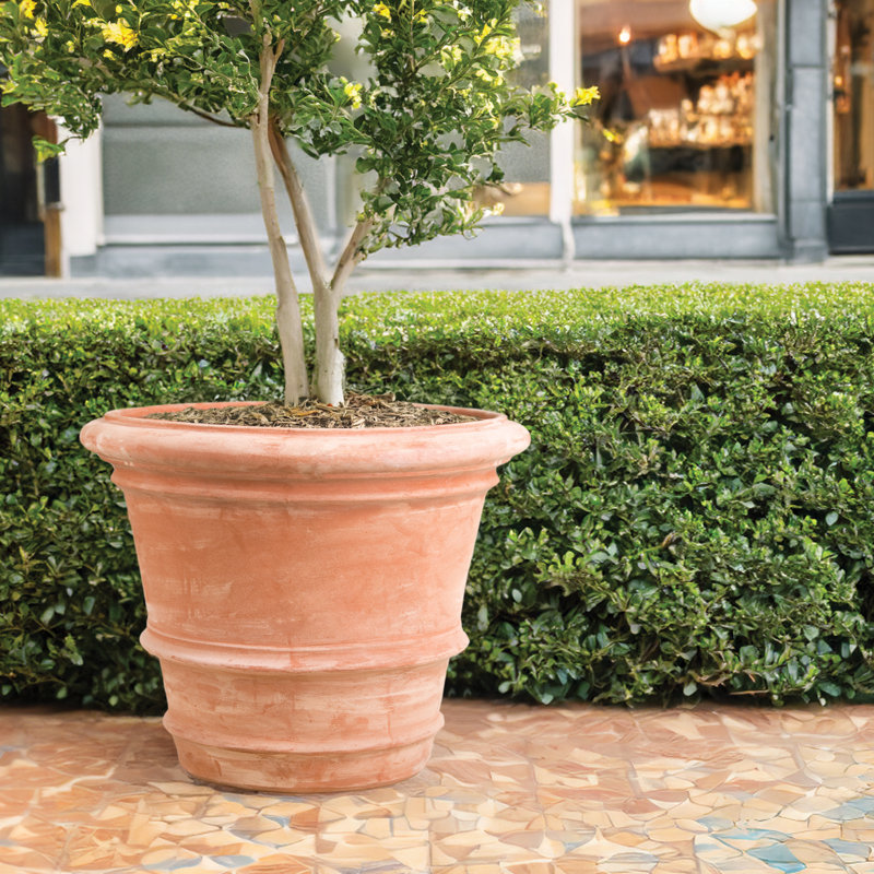 Bordure roulée toscane faite à la main 27,5 po, H 22,5 po x l 27,5 po x P 27,5 po