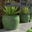 Cache-pot Shewmaker-1825344170-1825344161