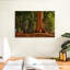 Alvord général Grant Grove arbres-108842607