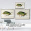 «Tropical Fish Collection I», reproduction sur toile-94354354-94354352