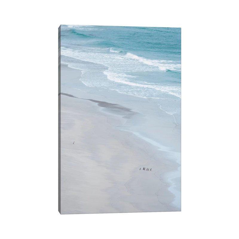 Magellanic Penguin Group On Empty Beach, Falkland Islands. by Martin Zwick - Wrapped Canvas Print
