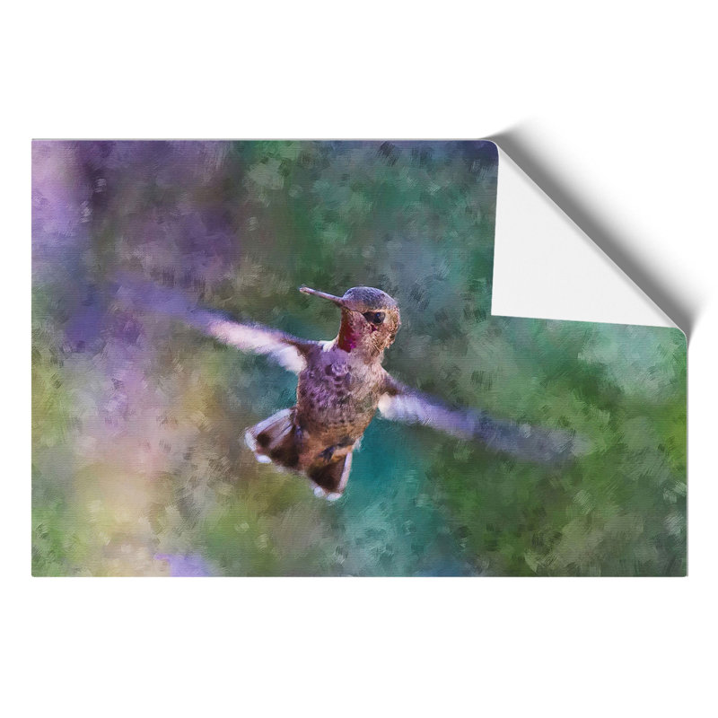 Hummingbird Painting - Frameless Print, 30cm H x 42cm W x 0.1cm D