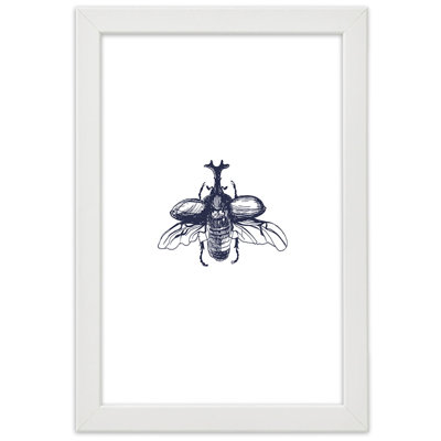 Beetle Insect Single Picture Frame Wall Art