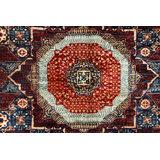 Wool Oriental Area Rug