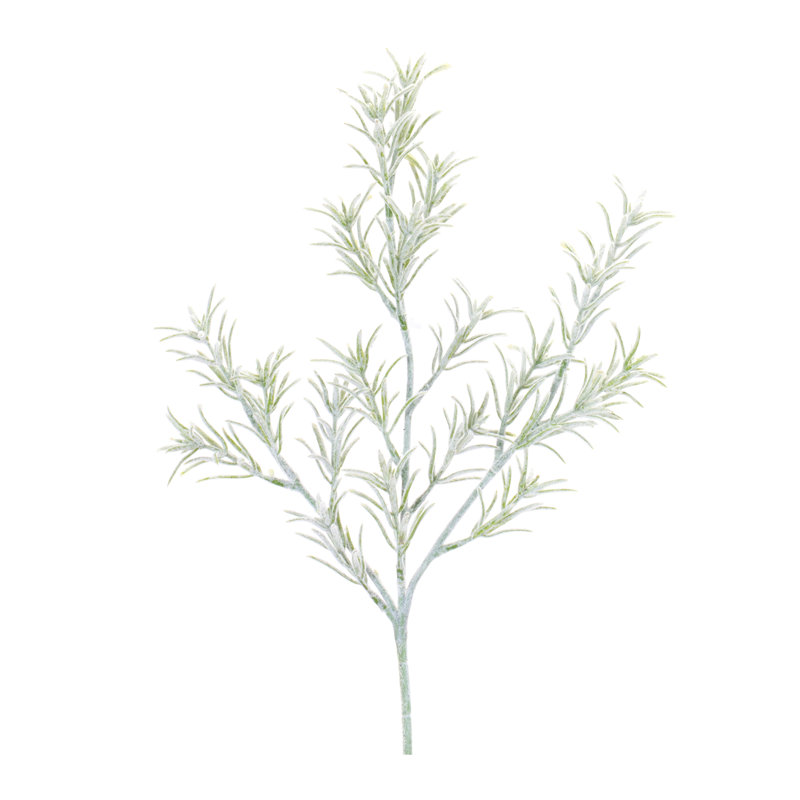 Rosemary Foliage (ensemble de 6)