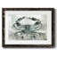 Crabe neutre II-1774382679