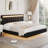 Bocar Standard Platform Bed-170009321-170009320