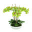 Orchids Arranged in Fiberstone Planter-1808265653