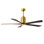 Patricia LED Downrod Ceiling Fan