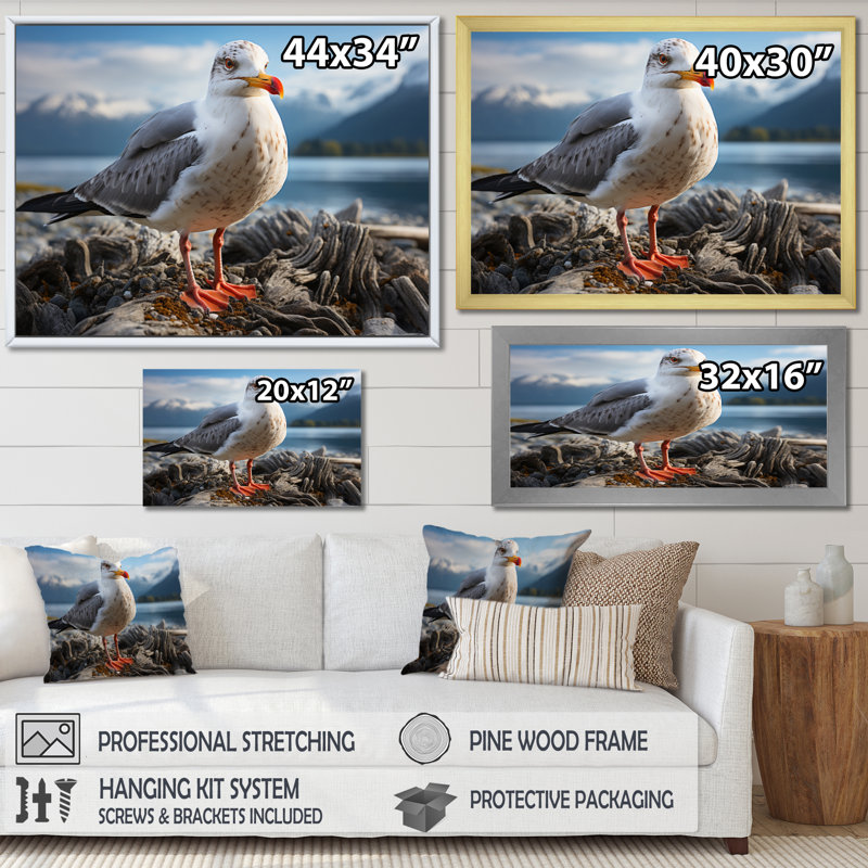 «Seagull Portrait On Rock», reproduction d'art sur toile, Cadre simple noir, H 16 po x l 32 po x P 1 po