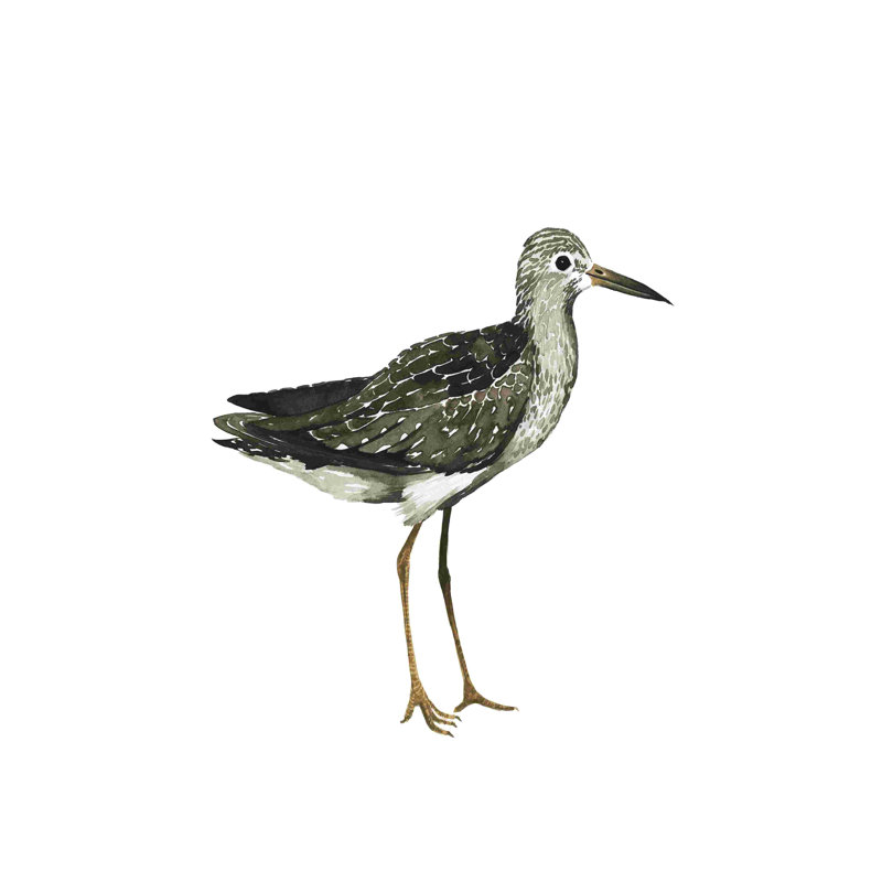 Oiseau de mer III, H 12 po x l 8 po
