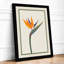 Bird of Paradise Botanical - Framed Print-327675634-327675637