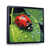 Black Floater Framed