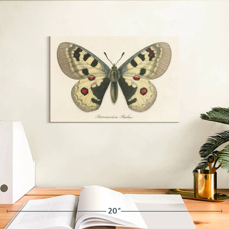 Brampt Natures Butterfly III, 8" H x 12" W