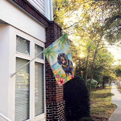 Drapeau pour animal à double face H 40 po x l 28 po