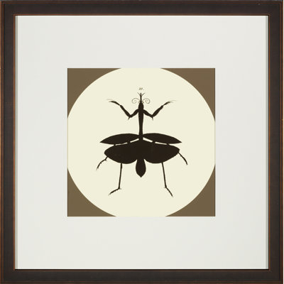 «Insect Silhouette III», impression encadrée
