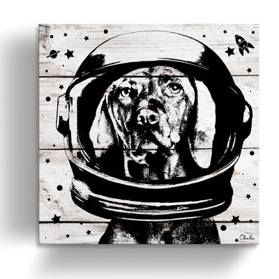 " Space Dog "