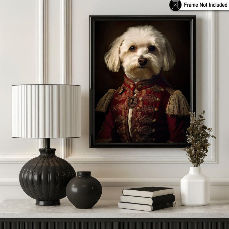 Bichon aristocratique havanais, Unframed, Poster, 16"H x 20"W